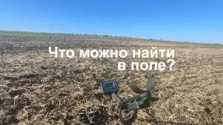Что можно найти в поле из металлоискателем???