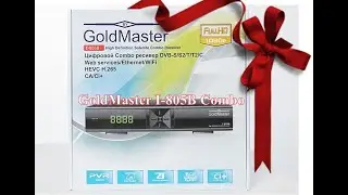 Бюджетный ресивер GoldMaster I-805B Combo