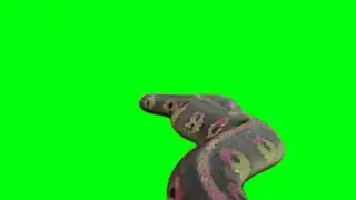Big Snake green screen video effect HD _1080p