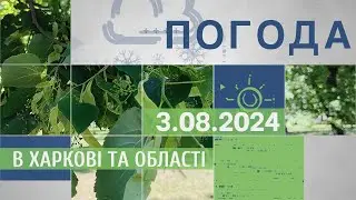 Прогноз погоди в Харкові та Харківській області на 3 серпня
