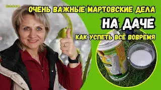 These are the PLANT FEEDINGS I use in the spring at the dacha. @galabum 