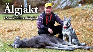 Jaktresan: Älgjakt i Stockholms skärgård