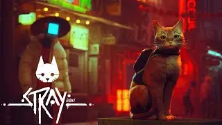 √2🔴STREAM➤Stray➤МОМО И ДНЕВНИКИ