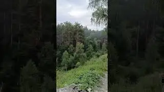 Международный день Гор 11 декабря .Только в Гору, только Вперёд.