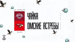 25.04.2023. «Чайка» – «Омские Ястребы» | (Финал Кубка Харламова) – Прямая трансляция