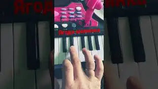 Хабиб - ягода малинка на пианино 🎹