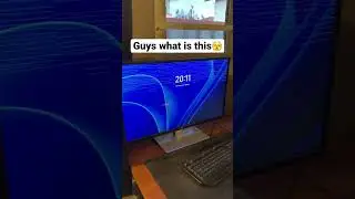 •Weird PC Bug• 