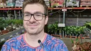 Обзор растений и цен в оптовом центре в Москве