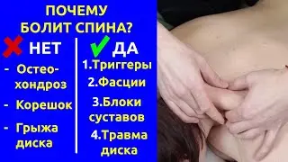 Почему болит спина? 4 компонента болей в пояснице и шее