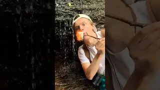Asando MALVAVISCOS en la Llama Eterna 🔥