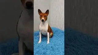 Ну мне надо это, я дома сижу, лежу. Хэппи, как Алексей Щербаков. 