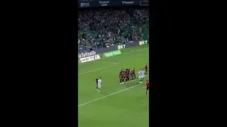 WILLIAN JOSÉ QUITA LAS TELARAÑAS 🕸️ 
