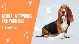 Neural Networks For Your Dog - 3.1 Simple Images