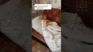 7 июня 2023 г.
