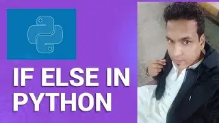 If Else & Elif Conditionals In Python | Python Tutorials