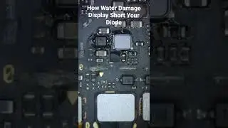 How Water Damage Display Short Your Diode