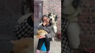 Grandma has no dog in her eyes. The dog is jealous!# Meng Chong# Liang Bin's Wang Xingren# shorts#