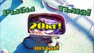 Рыбалка на щуку. Рыбы много! МЕЛКАЯ ЩУКА. Рыбалка на спиннинг. Обь.