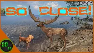 Hunting Australia For A Diamond Fallow Deer! Call Of The Wild