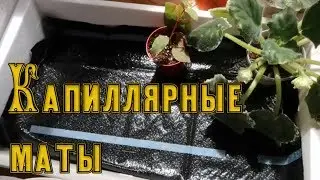 КАПИЛЛЯРНЫЕ МАТЫ / Капиллярный полив растений