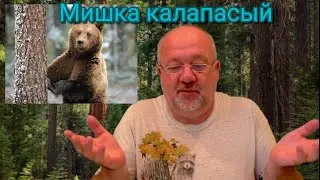 Миша косолапый по лесу идет. Стихотворение в трех версиях.. (улыбнитесь!!!)
