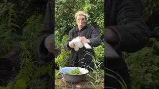 Рецепт плова !