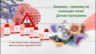 С чего начать путь к здоровью? Красная Линия Здоровья