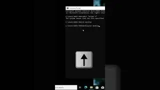 How to Delete Directories/Folders in Command Prompt #cmd #commandprompt #windowstipsandtricks