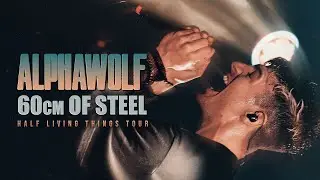 Alpha Wolf  - 