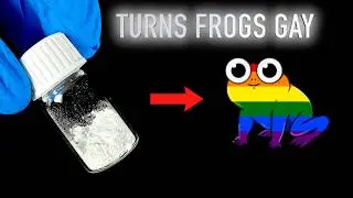 This Banned Herbicide Is Turning Frogs Gay!