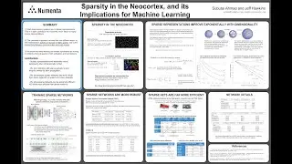 NAISys 2020: Sparsity in the Neocortex, and its Implications for Machine Learning Poster Walkthrough