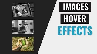 [ HTML | CSS ]  How to Creat Image Hover Effect