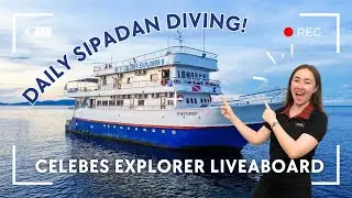 Join Us On The Only Diving Liveaboard In Sipadan - Celebes Explorer 9