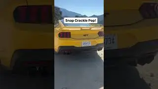 STOCK Exhaust 2024 Mustang 5.0! 