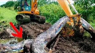 The builders were speechless when this creature was thrown ashore by the blast wave!