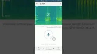 Додаток BirdNet: визначення птахів за їхнім співом