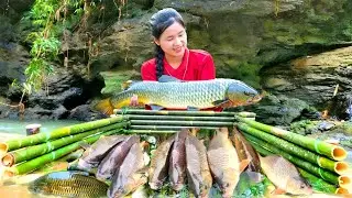 2 weeks Harvesting day vs night journey to catch fish - trap giant fish to sell at the market