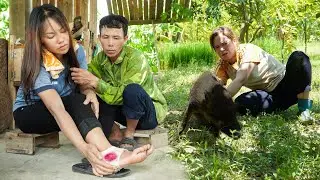 Hunting Wild Boar Destroys the Farm While Harvesting Burmese Grape, Take Care of Sick Neighbor