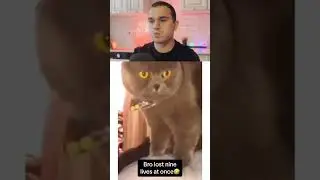 Если засмеешься, то проиграешь 😅