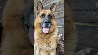 Запомните или запишите!? 