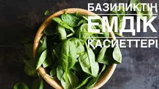 Базиликтің емдік қасиеттері.