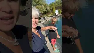 СПАСИ МАКАРА 😿🙏🙏#стрим#стандофф2#топ#тикток#тренды#таро#а4#мем#музыка