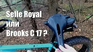 Почему я выбрал Selle Royal, а не Brooks C 17 Cambium