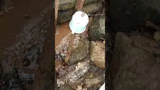 Целебная водичка из старинного родника.Водичка класс но только из родника старого