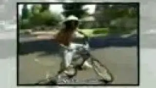 stupid in ya buick-sumthin terrible