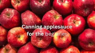 Canning applesauce for beginners