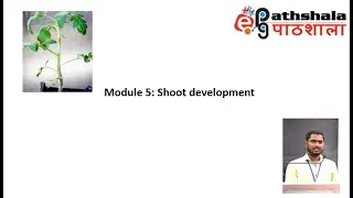 Module 5: Shoot Development #EPGPathshala