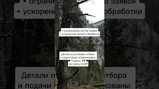 Новая программа получения PR в Альберте #shorts #canada #канада #alberta #альберта