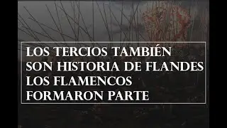 Los propios flamencos formaron parte de los tercios por María Elvira Roca Barea