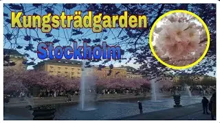 kungsträdgarden Stockholm Sweden